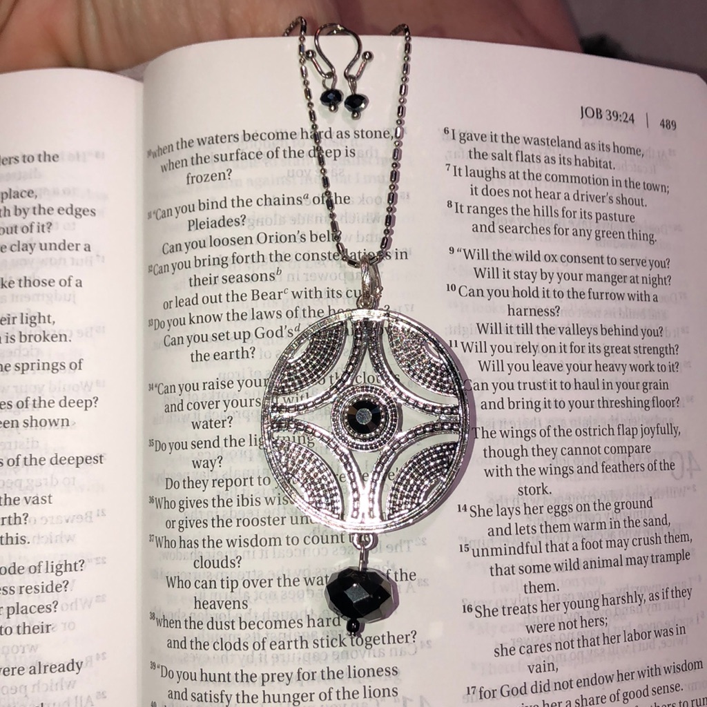 Silver Black Swarovski Crystal Necklace Earrings 20$